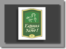 Equus Now Design